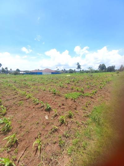 Plot on Thogoto-Thigio-Limuru Road