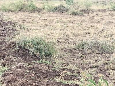 Plot on Isinya, Isinya Town